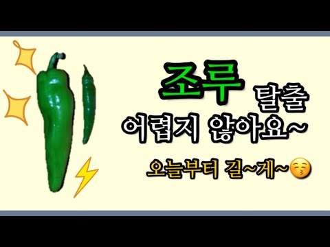 병원 안가고 조루 탈출 가능한 4가지 방법!