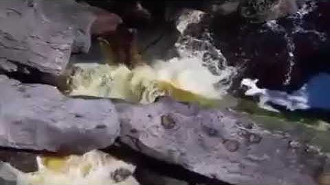 ارح قلبك ومسمعك بهذة التلاوة ... تلاوة جميلة من سورة الشورى بصوت الشيخ عبدالله الموسى ..