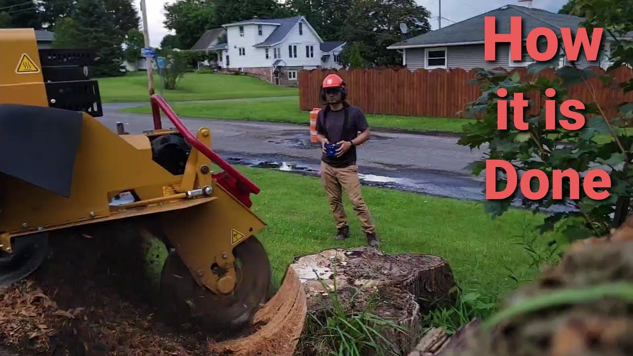 How Tree Stumps Are Removed (Rayco RG55 Stump Grinder Time Lapse) - YouTube