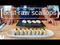 Best Raw Scallops For Sushi | Jumbo Hokkaido Japan Scallops