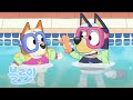 수영장 블루이 전체 에피소드 블루이 한국 공식 채널 Bluey 수영장 블루이 전체 에피소드 블루이 한국 공식 채널 Bluey