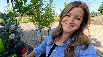 Planting 5 Trees & Hanging Baskets Using New (for 2026) Annuals! 🌳🌲🌺 // Garden Answer