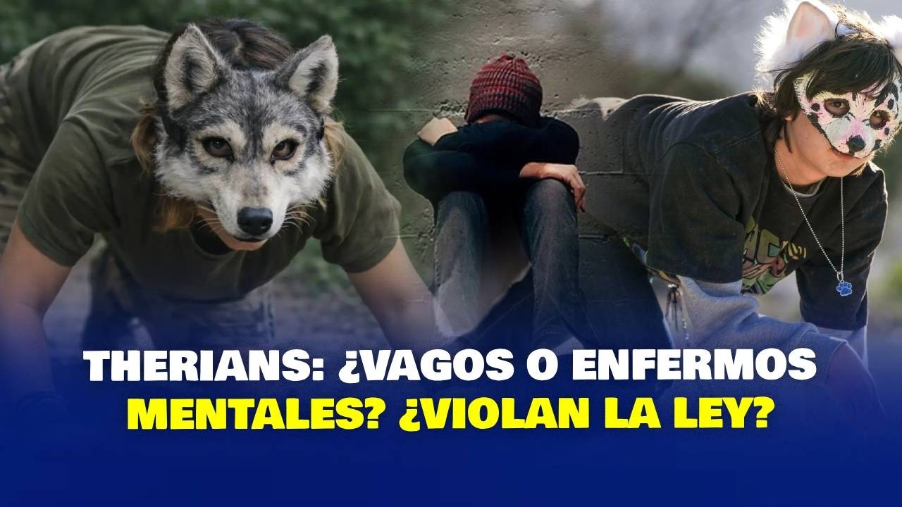 Therians: ¿vagos o enfermos mentales? ¿Violan la ley?