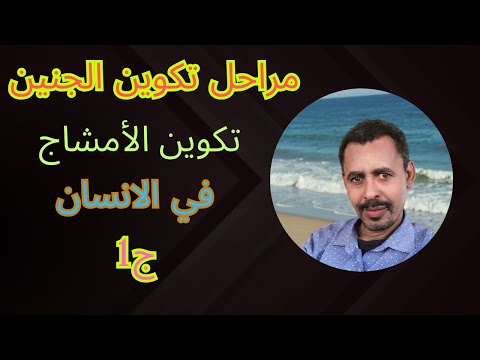 تكوين الأمشاج في الانسان ج1 الأحياء حصص الشهادة السودانية