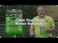 How to Clear Your Pond Water Naturally