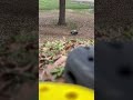 Xmaxx #rclife#fast