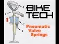 Pneumatic Valve Springs - Bike TEch