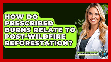 How Do Prescribed Burns Relate To Post-wildfire Reforestation? - Earth Science Answers