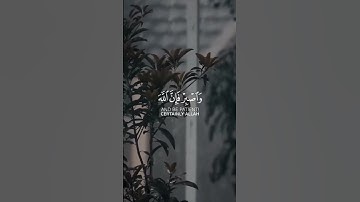 إن الحسنات يذهبن السيئات | سورة هود | ماهر المعيقلي
