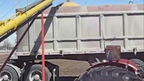 Loading out Soys - 2