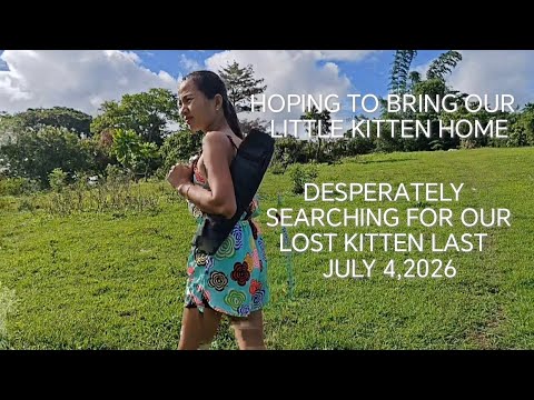 ONE OF OUR JOURNEY IN LOOKING FOR OUR KITTEN /PHILIPPINES#pets #cat #petlover #hope