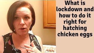 Incubating Chicken Eggs: Lockdown with the Farm Innovators 4250 Automatic Egg Incubator