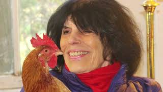 In Celebration of Dr. Karen Davis, United Poultry Concerns