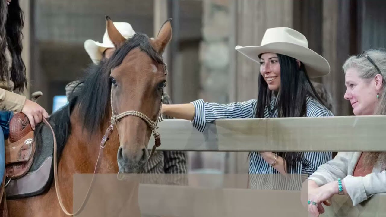 Adopt Liberty's Porter, 2017 Mustang Gelding