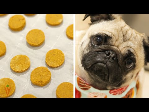 easy-vegan-peanut-butter-pumpkin-dog-treats-with-only-3-ingredients