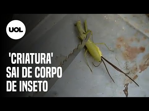 Vídeo: Como as constantes físicas mudaram ao longo do tempo