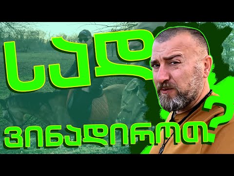 სად შეიძლება ნადირობა? /გარდაბნის სამონადირეო მეურნეობა/