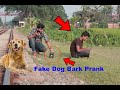 Fake Dog Bark Run Prank || Dog Sound Parnk (TRY TO NOT LAUGH CHALLENGE) Awesome Reaction Prank