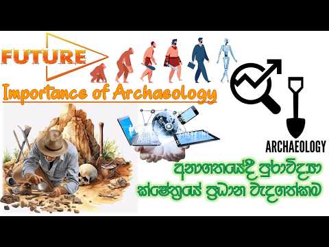 Importance of Archaeology in the Future අනාගතයේදී පුරාවිද්‍යාවේ වැදගත්කම 🎯Wonder History
