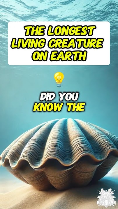 The Longest Living Creature On Earth YouTube the-longest-living-creature-on-earth-youtube