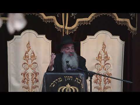 הרב מאיר דוד שמואלי - פרשת שלח לך