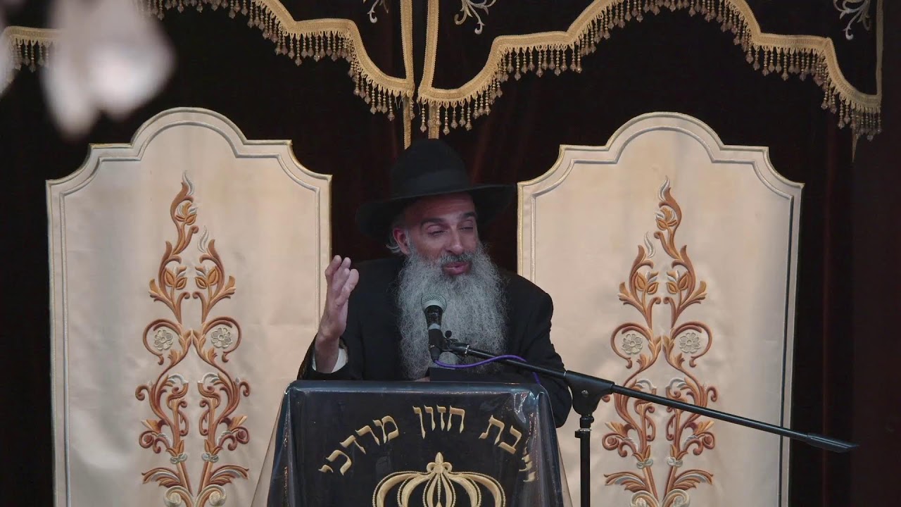 הרב מאיר דוד שמואלי - פרשת שלח לך