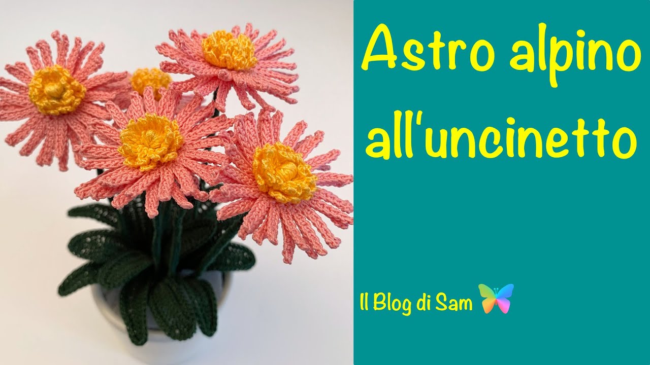 Spiegazione dell'Astro Alpino all'uncinetto