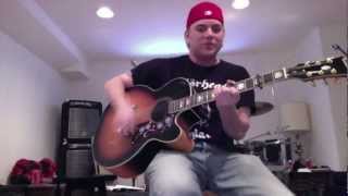 Video thumbnail of "The Drug in Me is You (Acoustic Cover) - Falling in Reverse Cover"