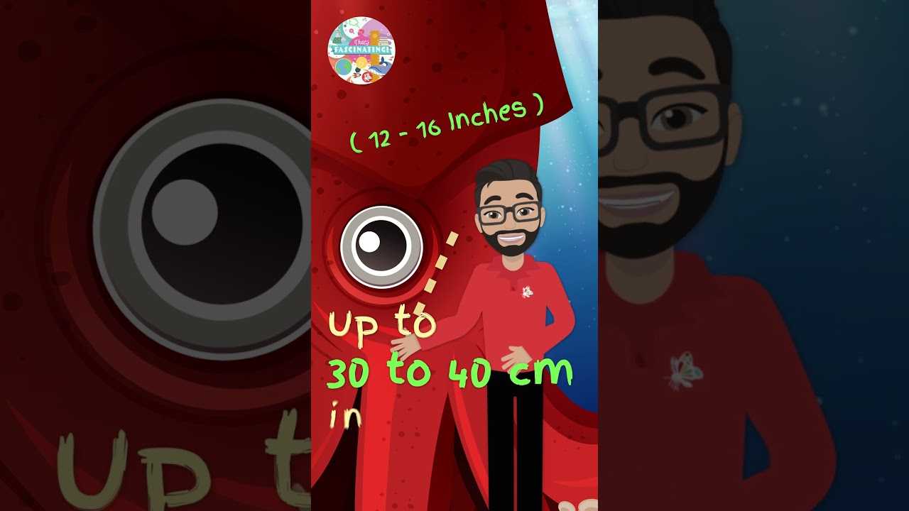 The Largest Eye of Any Animal 