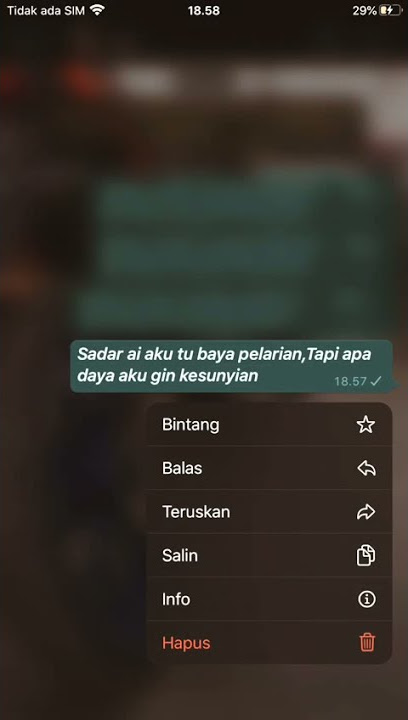 Story wa '  Hanya pelarian saja '