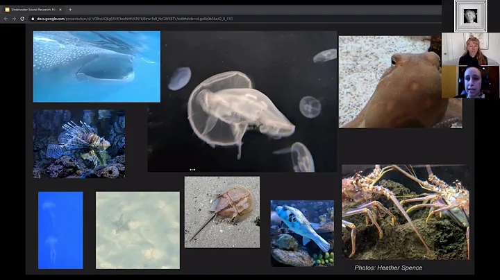 Heather Spence (marine biologist and composer) at ...