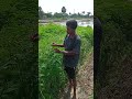 а ња Ђа Іа Ѓа а Ѓ а ёа ѕа а Ѓа Іа 30а а а ња Ѓ а Єа а а а а а Ѓ а µа ља Ќа ља їа а а ї а ња Ђа Іа Ѓа а Ѓа Ёа Ѓ а а а џа а Ќа а а а а џа Ќа µа а џа Ќ а ља а Їа Ќа Їа ѕа Іа ї Jeelugu Farmer Shorts а ња Ђа Іа Ѓа а Ѓ а ёа ѕа а Ѓа Іа 30а а а ња Ѓ а Єа а а а а а Ѓ а µа ља Ќа ља їа а а ї а ња Ђа Іа Ѓа а Ѓа Ёа Ѓ а а а џа а Ќа а а а а џа Ќа µа а џа Ќ а ља а Їа Ќа Їа ѕа Іа ї Jeelugu Farmer Shorts