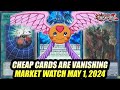 Say goodbye to the cheap cards yugioh market watch may 1 2024