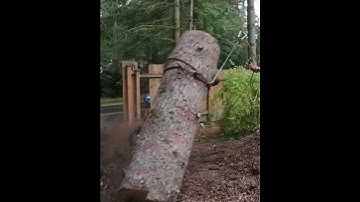 Vertical Speedline (slow motion)