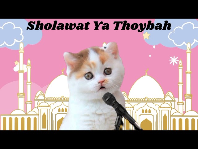 Sholawat Ya Thoybah Versi Tiga kucing Shalawat,Lucu Imut Hobby Mengaji Dan Bernyanyi Bersama class=