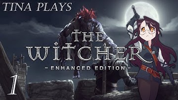 The Witcher Enhanced Edition: Complete Playthrough [No Commentary] - Part 1