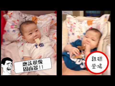 【嫩嬰威利日記】你看過杏鮑菇這樣吃嗎？！┃鰻魚家家酒