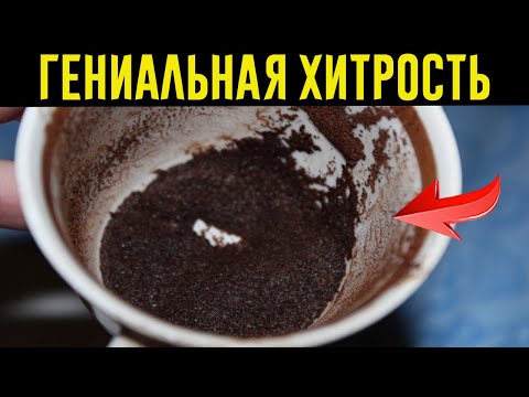 ЗНАКОМАЯ СТЮАРДЕССА РАССКАЗАЛА, КАК УСТРАНИТЬ НЕПРИЯТНЫЙ ЗАПАХ В ТУАЛЕТЕ!