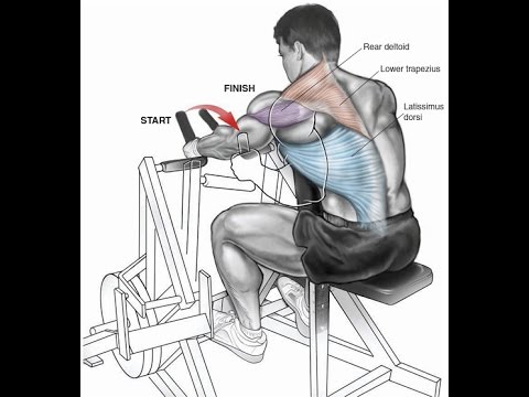 Bodybuilding Exercises/ Best Back and Biceps  workouts For Mass
