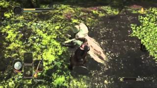Dark Souls 2 ( GAMEPLAY 720p )