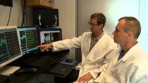 Scientists conduct bimanual BMI experiment
