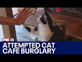 Catastrophe averted after attempted burglary  fox 13 news