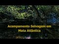 Acampamento Selvagem em Mata Atlântica