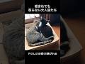 猫による優しさの教え方。#shorts