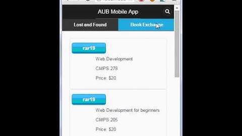 Lost and Found Project Demo Video