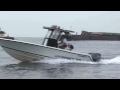 Artificial "Reef-Ex" Project 2009