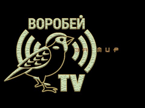 Спец обращение от автора видеоканала Воробей TV
