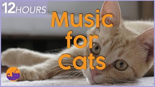 EXTRA LONG Relaxing Music for Cats - 12 Hour Lullaby for Anxious Cats 