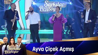 Sibel Can & Hakan Altun & Hüsnü Şenlendirici & Berkay - Ayva Çiçek Açmış