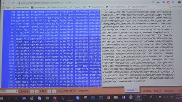 GENtle demo 1 XY: How to enter a new DNA sequence into GENtle and add annotation to your sequence